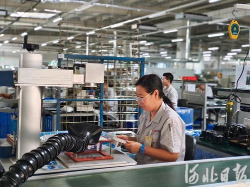 專精特新“小巨人”技術(shù)服務(wù)探訪記——秦皇島經(jīng)濟(jì)技術(shù)開(kāi)發(fā)區(qū)見(jiàn)聞